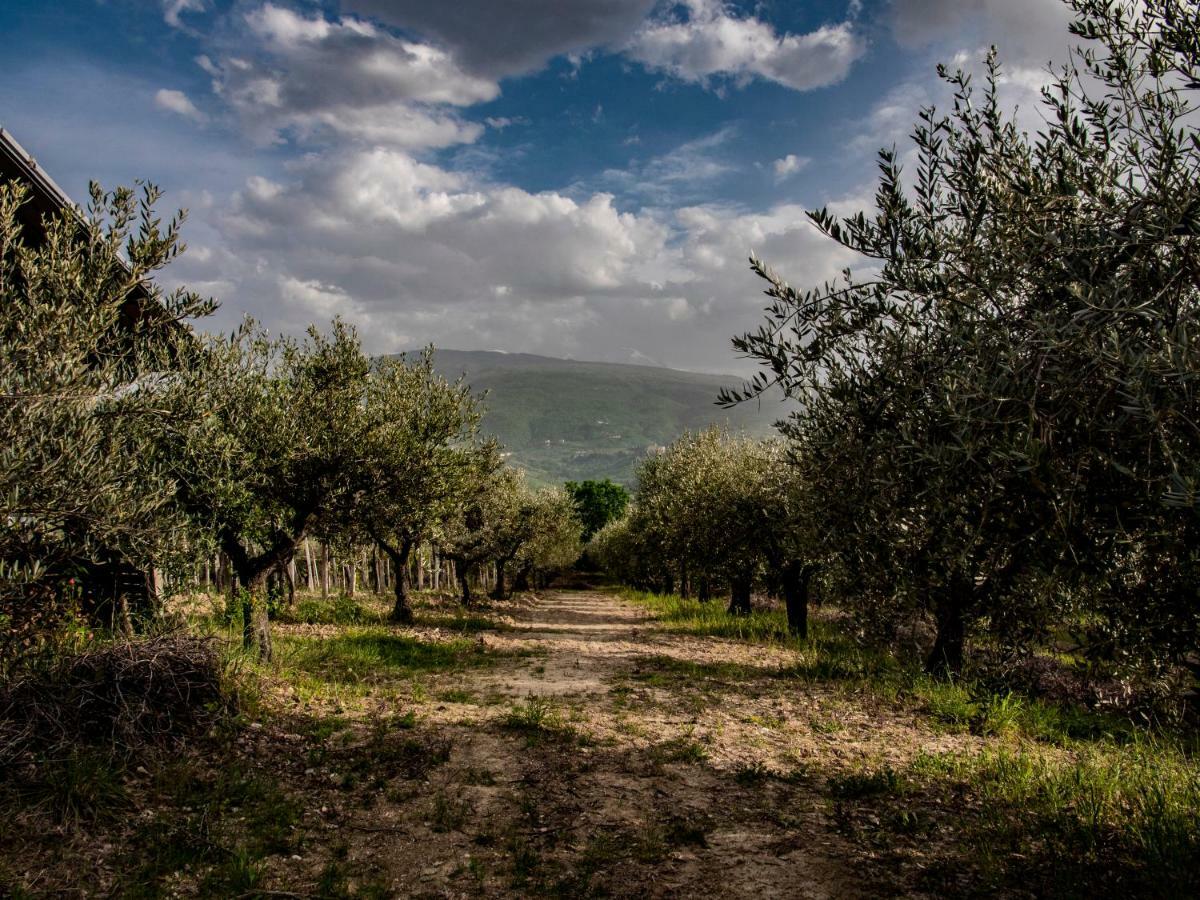 Manoppello Country House Casale Centurioneヴィラ エクステリア 写真